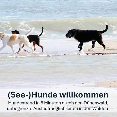 Christa - Familienfreundliche Mit Charme Lägenhet Heringsdorf (Usedom)