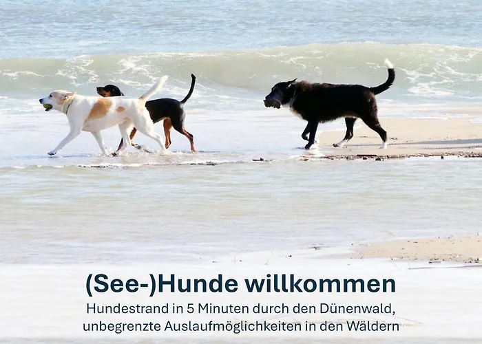 Christa - Familienfreundliche Mit Charme Apartmán Heringsdorf (Usedom)